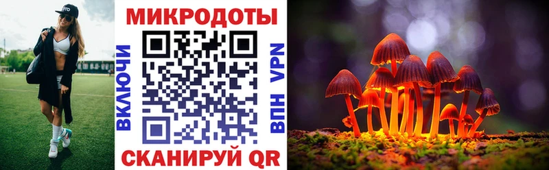 Псилоцибиновые грибы мухоморы  blacksprut ссылки  Сосновый Бор 